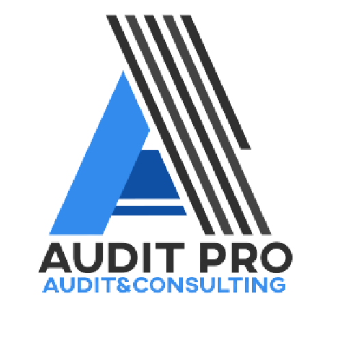 Audit Pro Logo